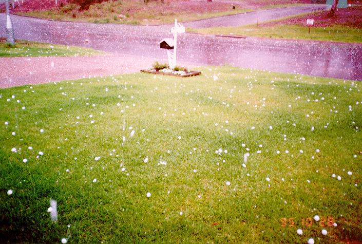 contributions received : Bonnyrigg, NSW<BR>Photo by Bert Garcia   28 October 1995