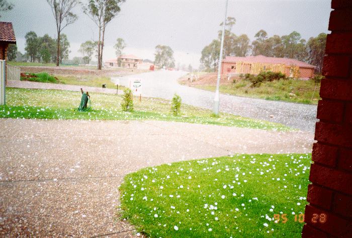 contributions received : Bonnyrigg, NSW<BR>Photo by Bert Garcia   28 October 1995