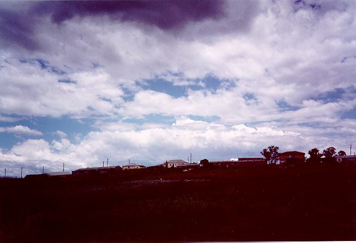 altocumulus altocumulus_cloud : Schofields, NSW   5 November 1995