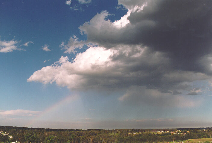 cumulus mediocris : Schofields, NSW   5 November 1995