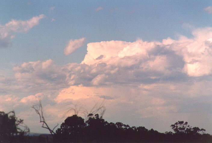 thunderstorm cumulonimbus_calvus : Schofields, NSW   5 November 1995