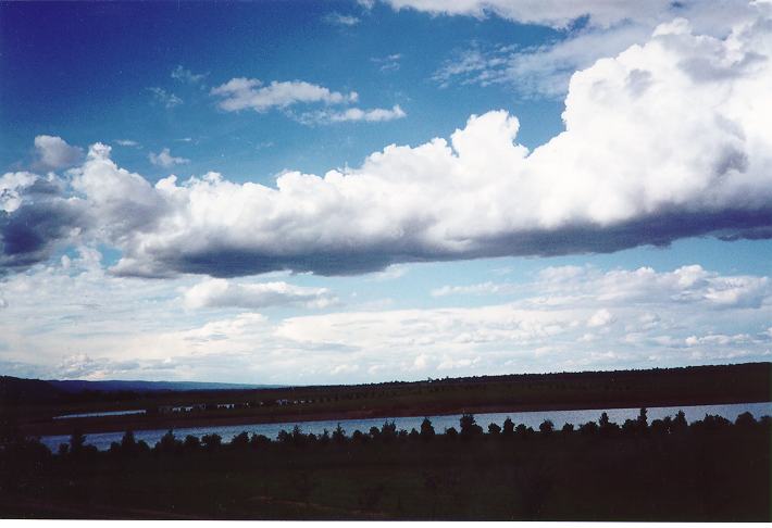 cumulus mediocris : Castlereaghs, NSW   18 November 1995