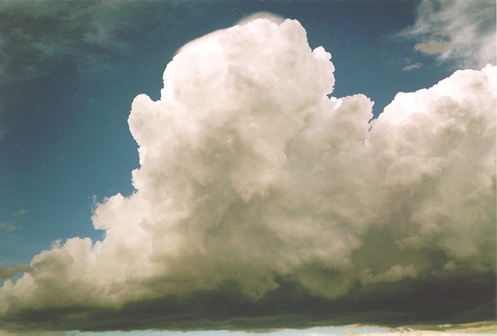 thunderstorm cumulonimbus_calvus : Castlereagh, NSW   18 November 1995