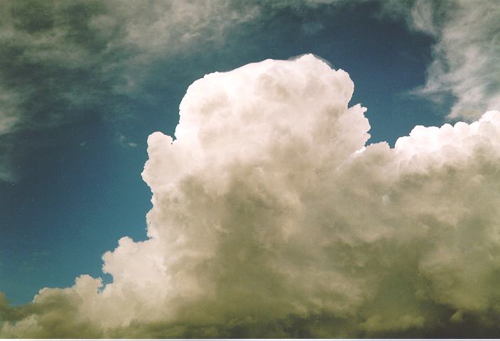 updraft thunderstorm_updrafts : Castlereagh, NSW   18 November 1995