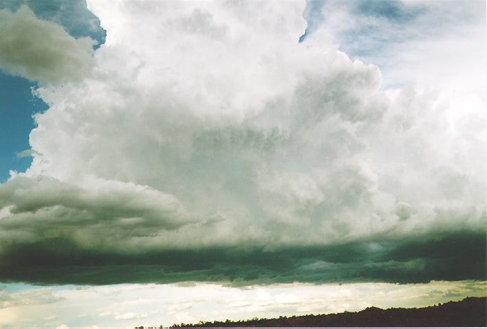 thunderstorm cumulonimbus_calvus : Castlereagh, NSW   18 November 1995