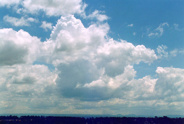 cumulus mediocris : Rooty Hill, NSW   18 November 1995