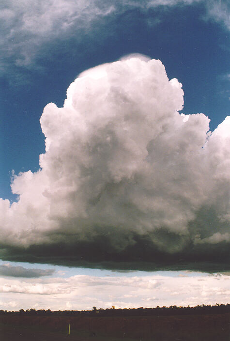 updraft thunderstorm_updrafts : Castlereagh, NSW   18 November 1995