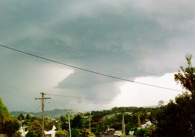 contributions received : Lismore, NSW<BR>Photo by Leith Martin   16 December 1995