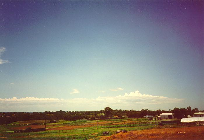 altocumulus castellanus : Schofields, NSW   18 December 1995