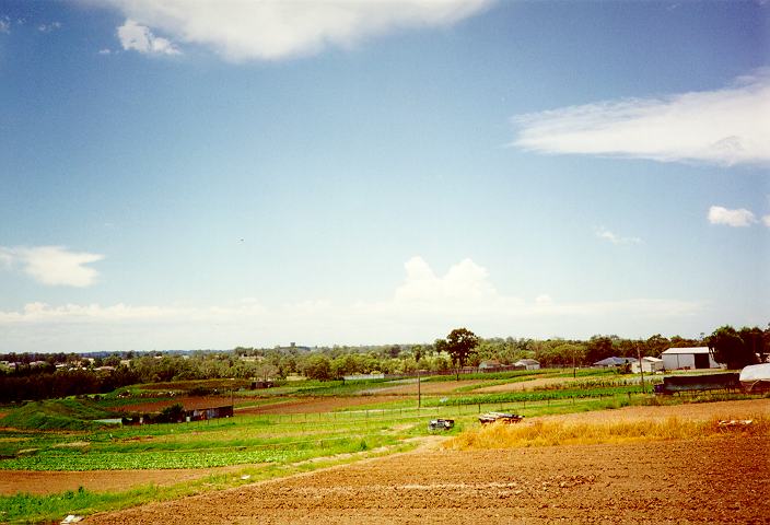 altocumulus castellanus : Schofields, NSW   18 December 1995