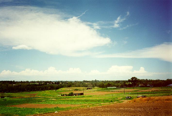 altocumulus castellanus : Schofields, NSW   18 December 1995