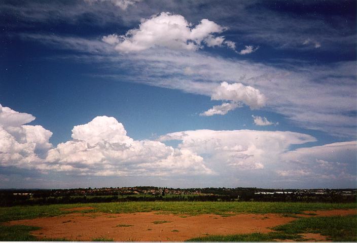 thunderstorm cumulonimbus_calvus : Rooty Hill, NSW   18 December 1995