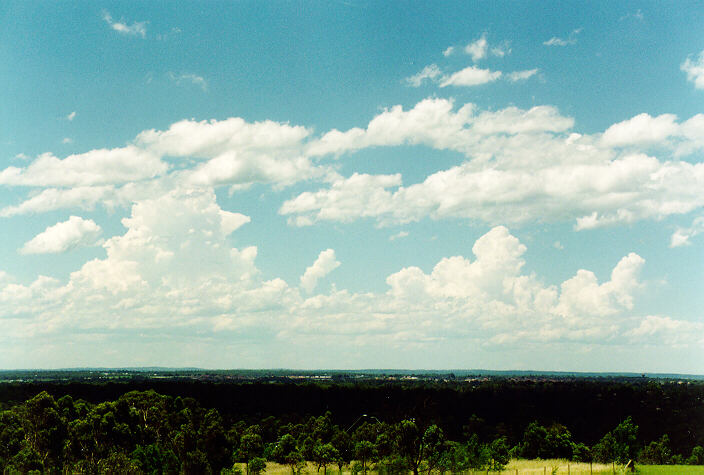 cumulus congestus : Rooty Hill, NSW   18 December 1995