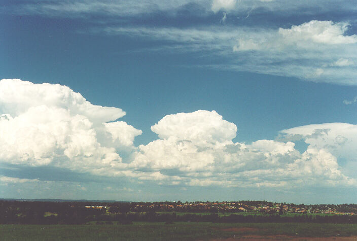 cumulus congestus : Rooty Hill, NSW   18 December 1995