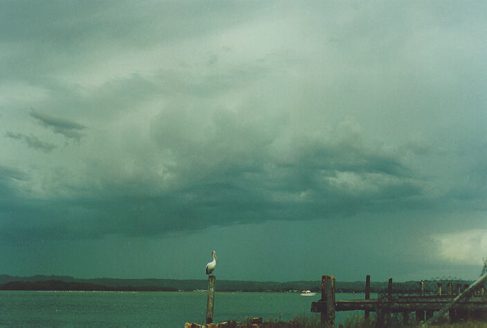 raincascade precipitation_cascade : Ballina, NSW   28 December 1995