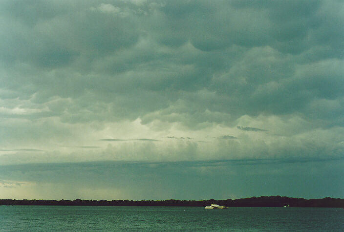 mammatus mammatus_cloud : Ballina, NSW   28 December 1995