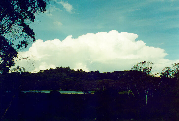 thunderstorm cumulonimbus_calvus : MT Buffalo, VIC   15 January 1996