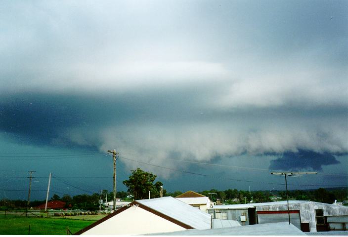 favourites jimmy_deguara : Schofields, NSW   19 January 1996