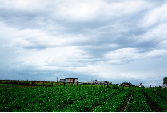 altostratus altostratus_cloud : Schofields, NSW   20 January 1996