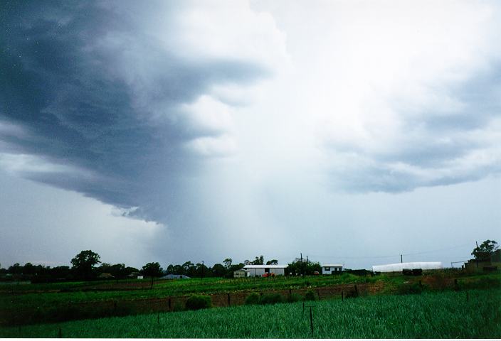 microburst micro_burst : Schofields, NSW   20 January 1996