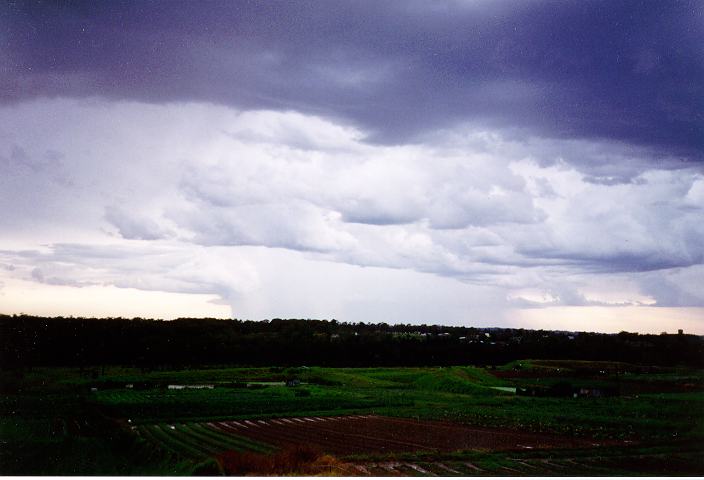 cumulus mediocris : Schofields, NSW   20 January 1996