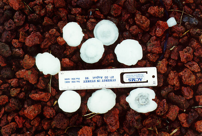 hailstones hail_stones : Horsley Park, NSW   5 February 1996