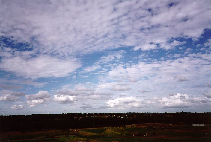 altocumulus mackerel_sky : Schofields, NSW   13 April 1996