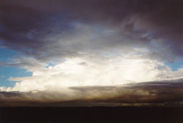 stratocumulus stratocumulus_cloud : Schofields, NSW   18 May 1996