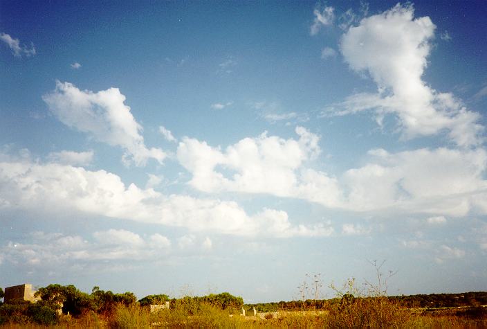 altocumulus castellanus : Malta   2 September 1996