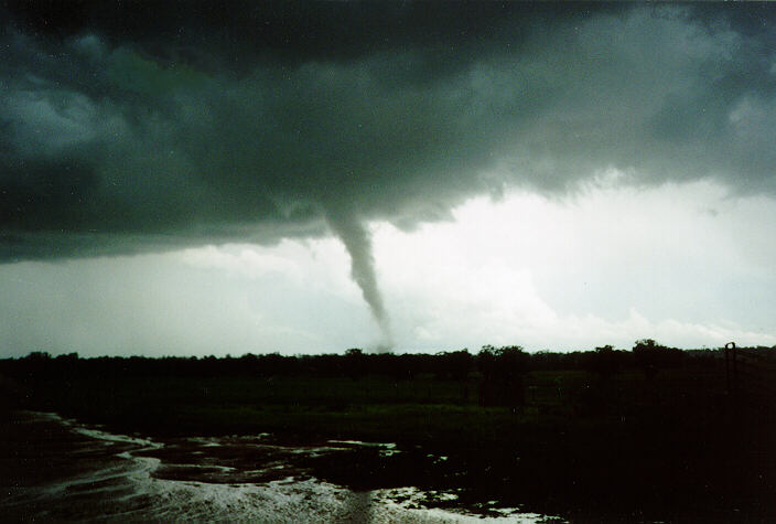 contributions received : Bearbung, NSW<BR>Photo by Chris Cooke   29 September 1996