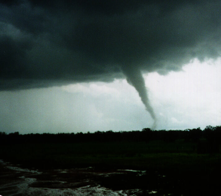 contributions received : Bearbung, NSW<BR>Photo by Chris Cooke   29 September 1996