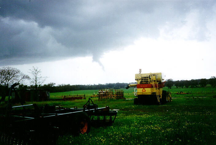 contributions received : Bearbung, NSW<BR>Photo by Chris Cooke   29 September 1996