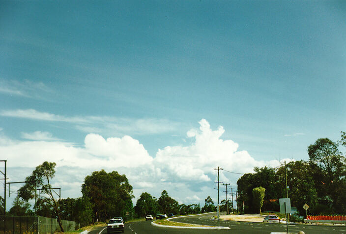 cumulus congestus : Blackheath, NSW   3 November 1996