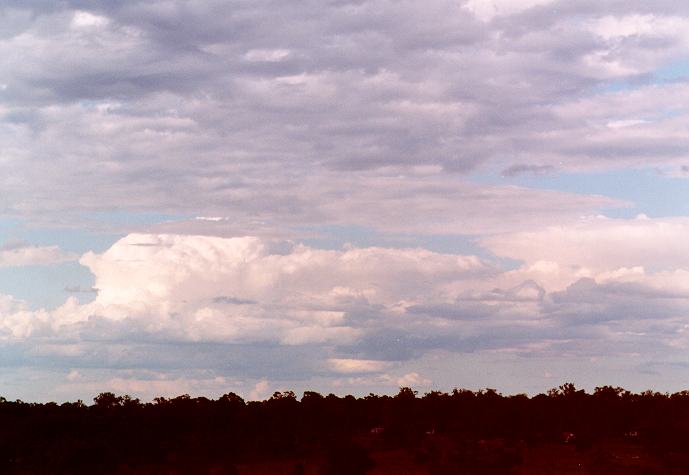 thunderstorm cumulonimbus_calvus : Schofields, NSW   9 November 1996