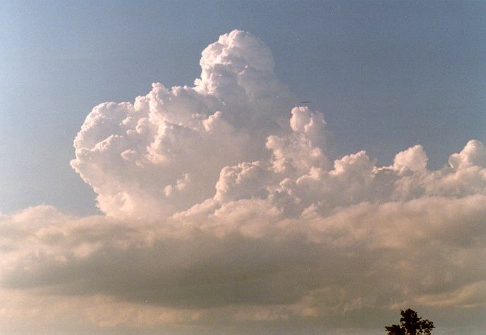 thunderstorm cumulonimbus_calvus : Freemans Reach, NSW   4 December 1996