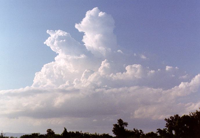 stratocumulus stratocumulus_cloud : Freemans Reach, NSW   4 December 1996