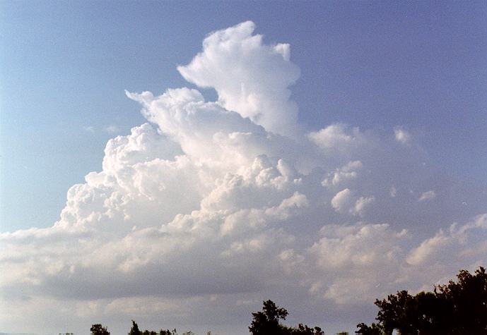 stratocumulus stratocumulus_cloud : Freemans Reach, NSW   4 December 1996