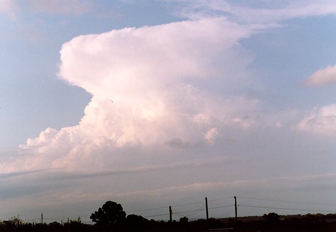 stratocumulus lenticularis : Schofields, NSW   4 December 1996