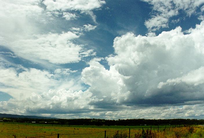 thunderstorm cumulonimbus_calvus : Richmond, NSW   7 December 1996