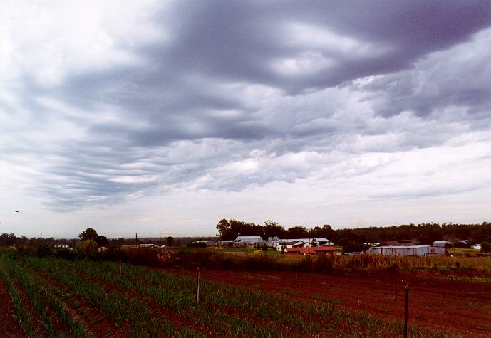 altocumulus castellanus : Schofields, NSW   23 December 1996