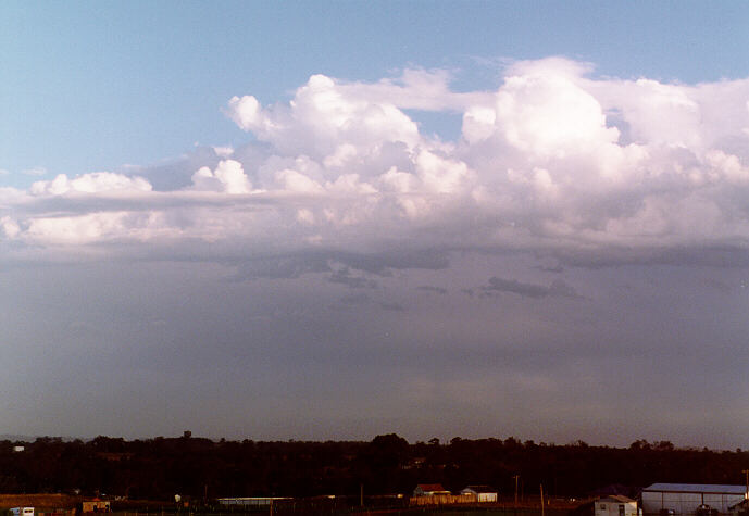 altocumulus castellanus : Schofields, NSW   23 December 1996