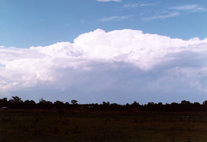 thunderstorm cumulonimbus_calvus : Richmond, NSW   28 December 1996