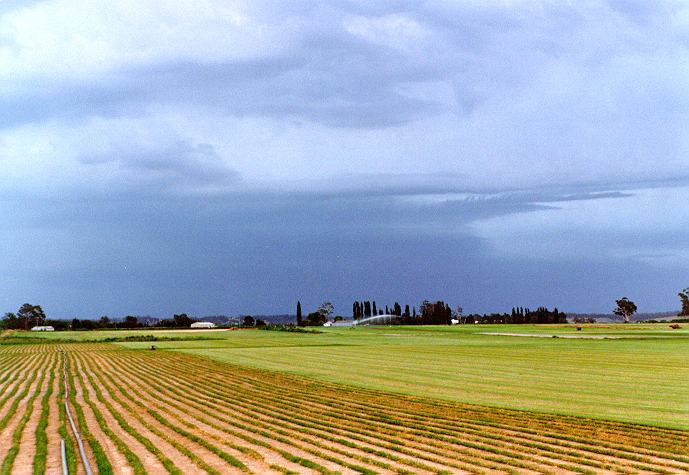 cumulonimbus thunderstorm_base : Windsor, NSW   28 December 1996