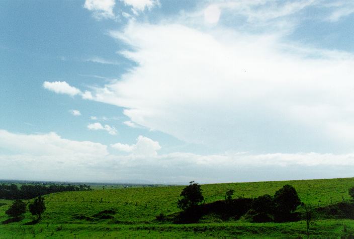 thunderstorm cumulonimbus_incus : Parrots Nest, NSW   29 December 1996