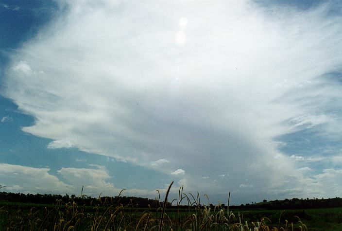 thunderstorm cumulonimbus_incus : Parrots Nest, NSW   29 December 1996