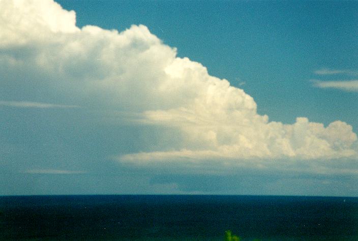 cumulonimbus thunderstorm_base : Ballina, NSW   31 December 1996