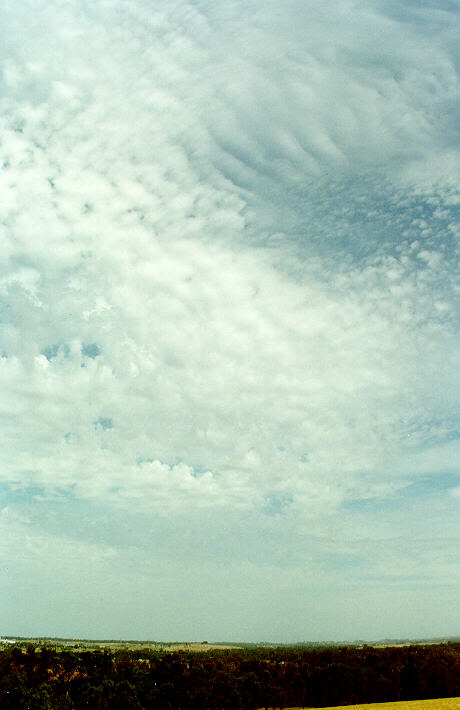 altocumulus castellanus : Rooty Hill, NSW   23 January 1997