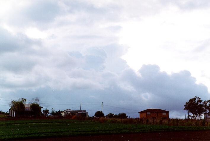 cumulus mediocris : Schofields, NSW   26 January 1997