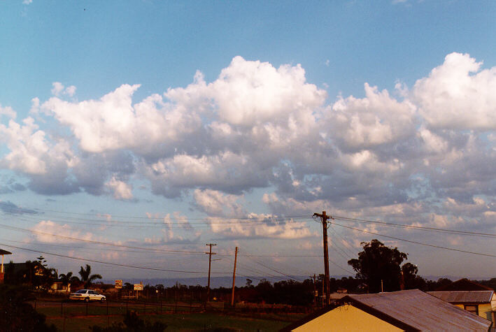 altocumulus castellanus : Schofields, NSW   9 February 1997