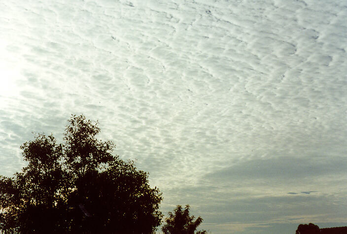 altocumulus mackerel_sky : Oakhurst, NSW   26 February 1997